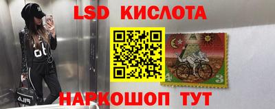 прущие грибы Конаково