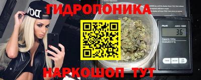 прущие грибы Конаково
