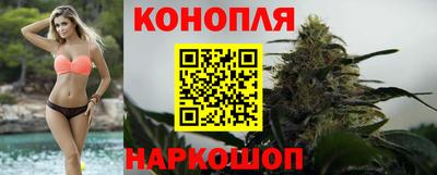 прущие грибы Конаково
