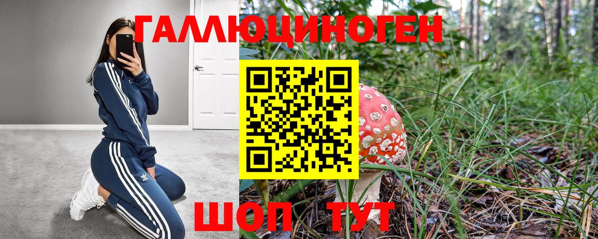 Галлюциногенные грибы GOLDEN TEACHER Каменка