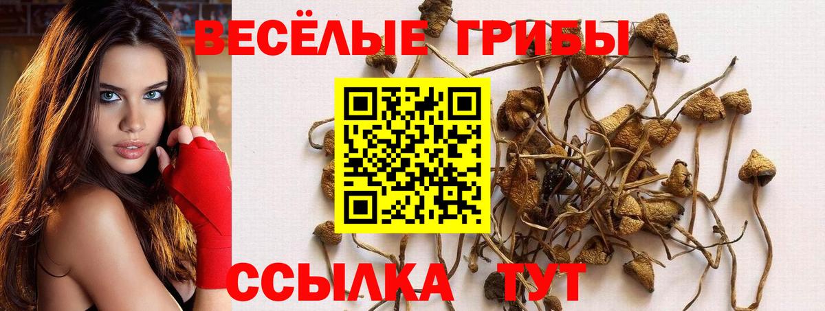 Каменка  Галлюциногенные грибы мухоморы  Вход с VPN  Галлюциногенные грибы MAGIC MUSHROOMS 